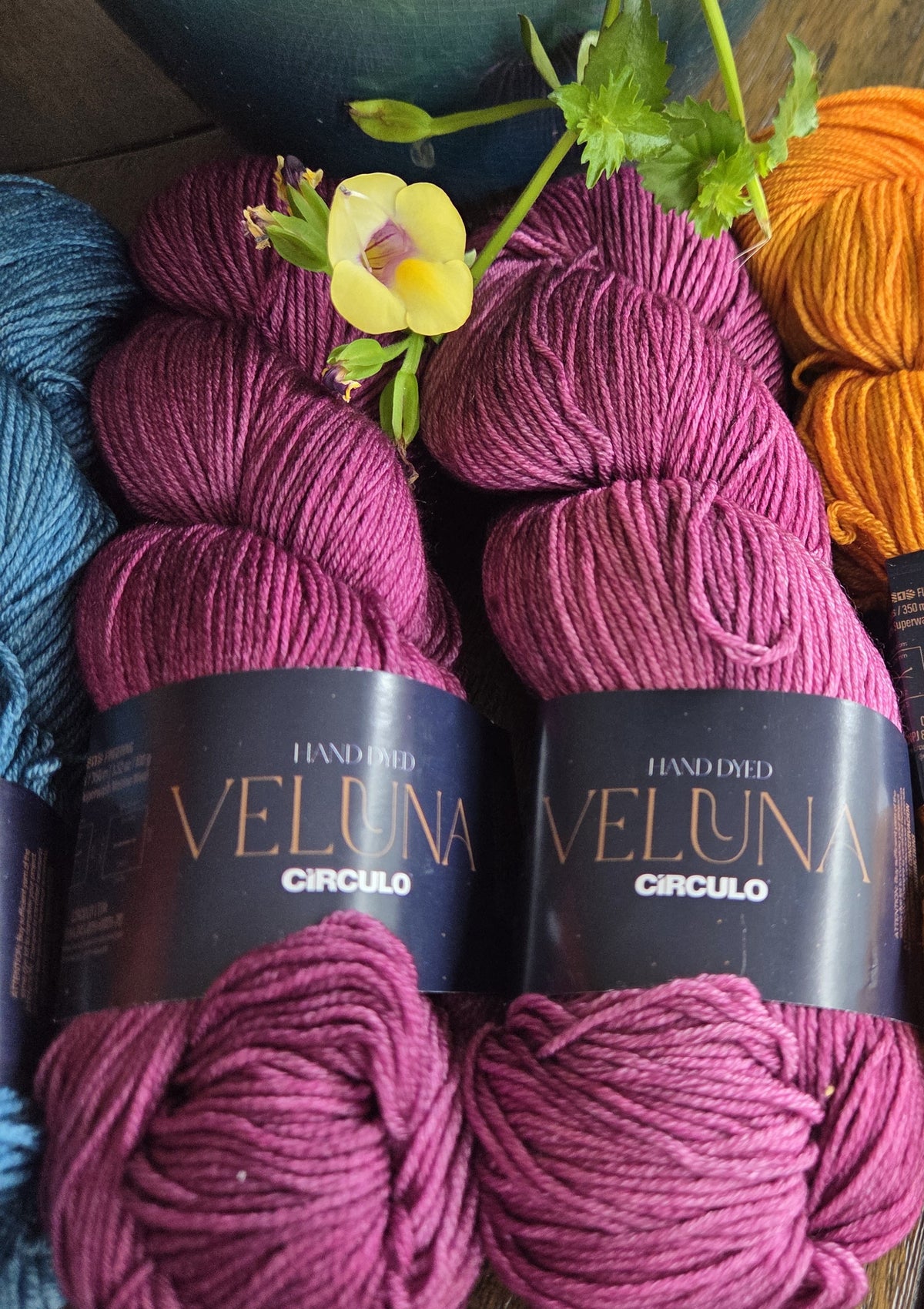 Veluna - Fingering - Blackberry